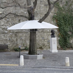 зонтик для дерева1
