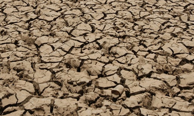 Kenyan pastoralists suffer from drought