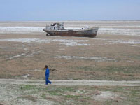 Остатки Аральского моря